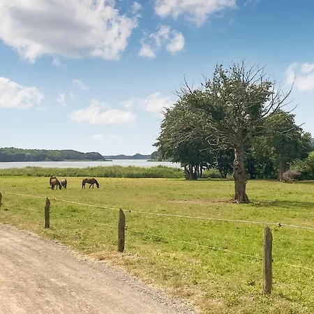 아파트 Ferienwohnung Heringsdorf